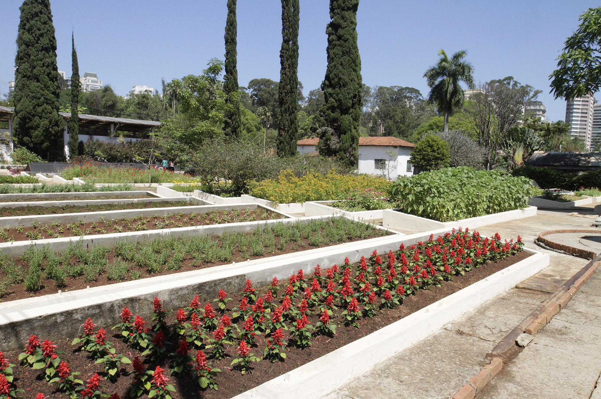 1050060-Viveiro Manequinho Lopes