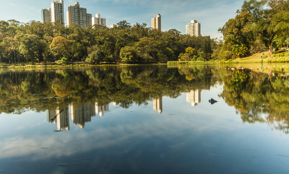 Imagem do Parque da Aclimação com uma lago, árvores e alguns prédios no horizote