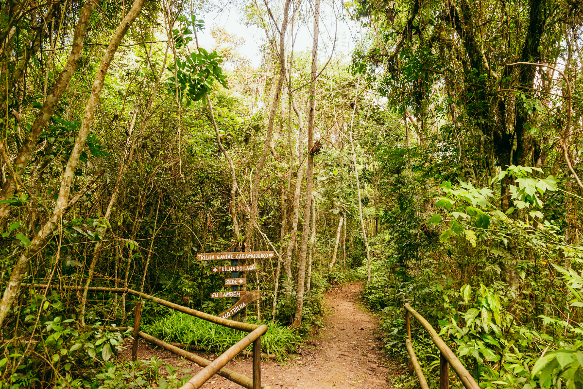 A imagem mostra uma trilha em meio à mata atlântica, cercada por vegetação densa e árvores altas com troncos finos. O caminho de terra batida é ladeado por corrimões de madeira e segue por entre a vegetação, formando um corredor natural. À esquerda, há uma placa de madeira com setas indicando diferentes direções: “Trilha Gavião-Caramujeiro”, “Trilha do Lago”, “Sede” e “Eu também faço trilha”. A luz natural atravessa as copas das árvores, criando um ambiente acolhedor e tranquilo, ideal para caminhadas ecológicas e contato com a natureza.