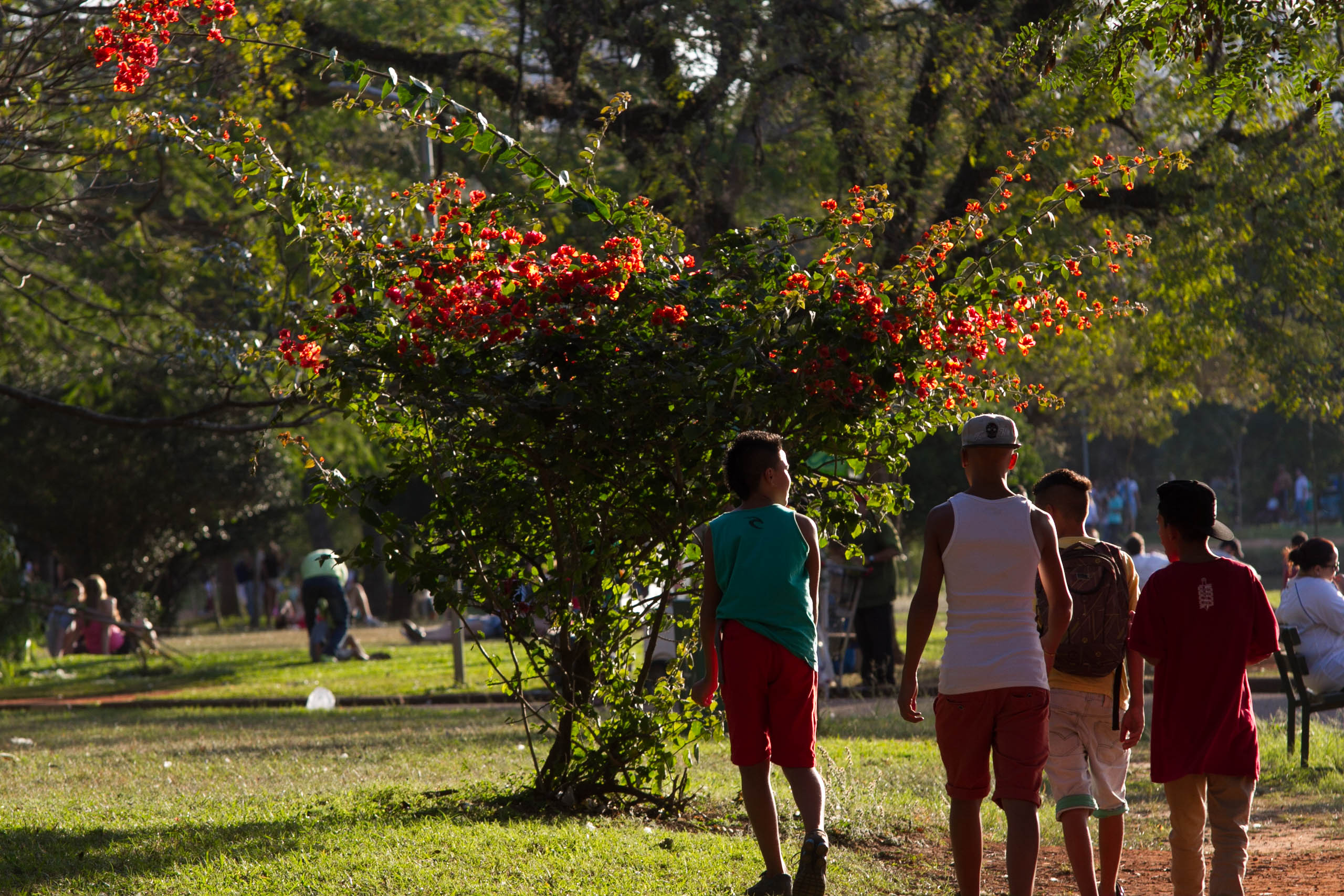 Pessoas caminhando em um parque com muitas árvores e flores 