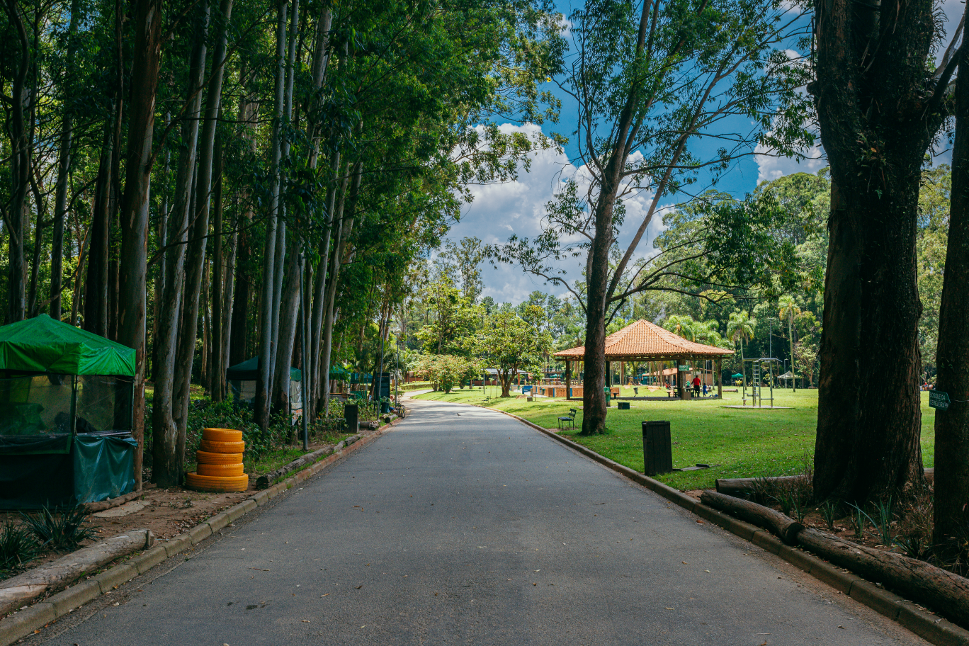 imagem de uma estrada pavimentada em meio a um parque, com árvores altas e um gramado