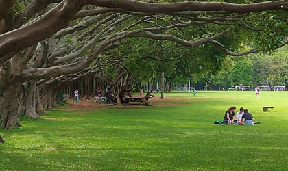 A imagem mostra um parque com uma grande área de grama verde. Há um grupo de pessoas sentadas sobre uma toalha, conversando ou descansando.