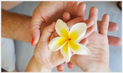 A imagem mostra três mãos diferentes unidas segurando uma flor branca e amarela.
