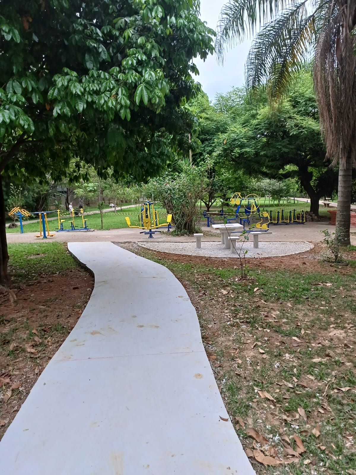 Foto diurna, em plano médio, de uma área de lazer e ginástica em um parque arborizado. Em primeiro plano, um caminho cimentado novo, de cor clara e forma sinuosa, guia o olhar para o centro. Ao longo do caminho, há grama e terra avermelhada. No fundo, a Academia ao Ar Livre aparece revitalizada, com diversos aparelhos de ginástica (azuis e amarelos) dispostos em duas áreas. Entre os dois conjuntos de aparelhos, há uma pequena área com um piso de pedrisco claro e um conjunto de bancos e mesas de concreto para piqueniques ou descanso. O ambiente é cercado por árvores altas e folhagens densas.
