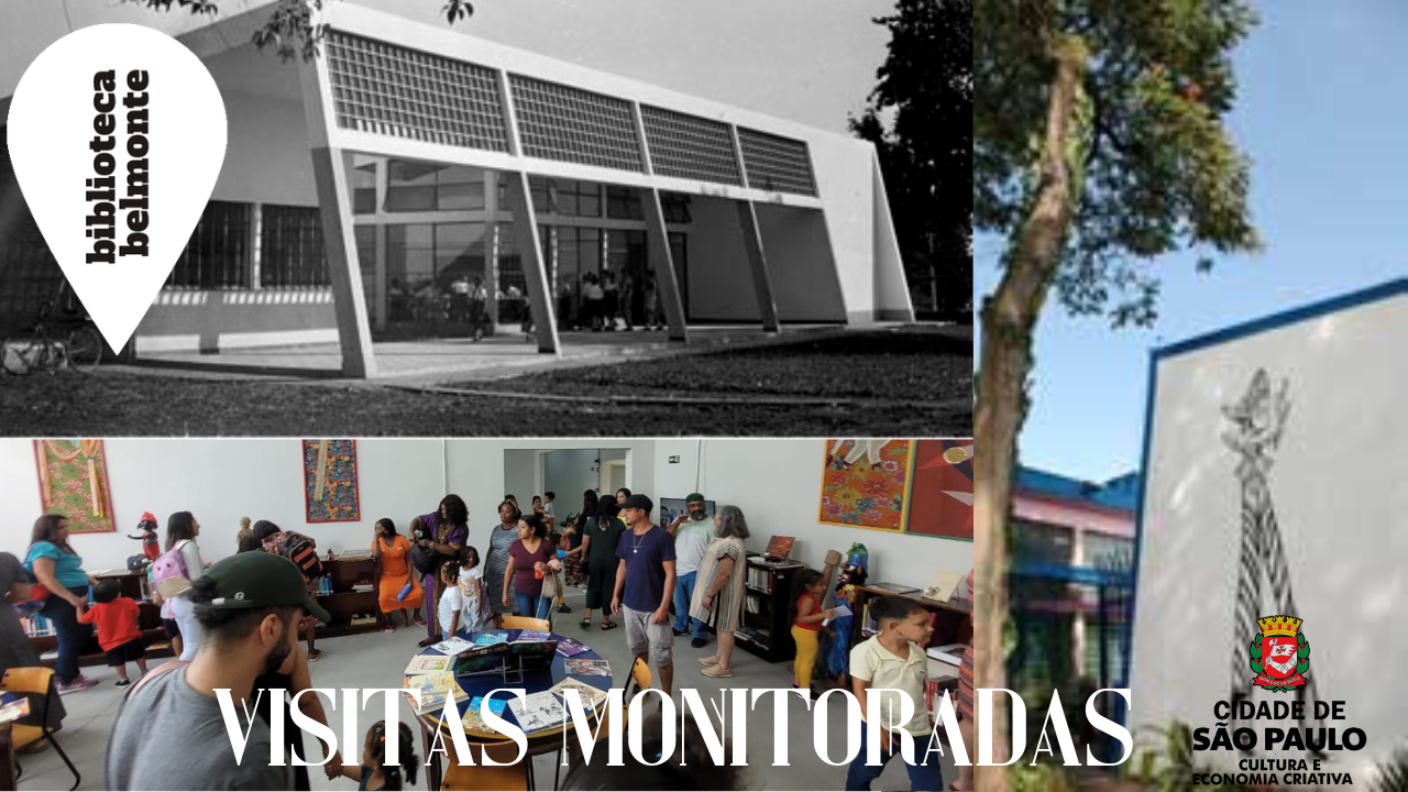 Visitas Monitoradas