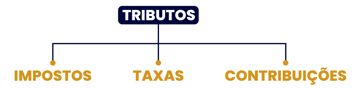 Imagem explicando que tributo é o nome da familia e imposto, taxa e contribuições são tipos de tributos