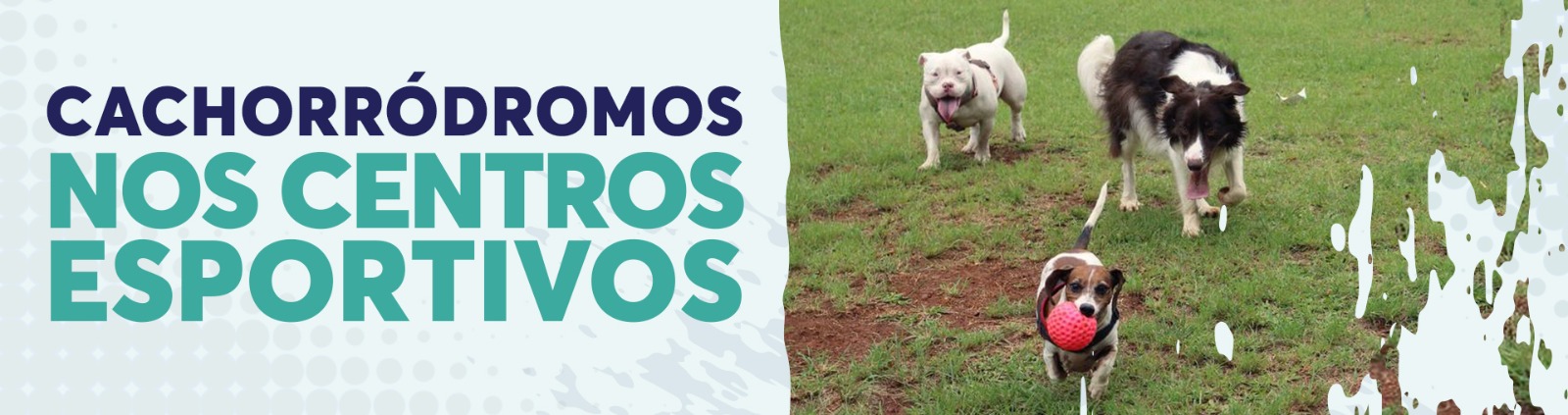 Na imagem, arte de divulgação dos Cachorrodromos nos Centros Esportivos.