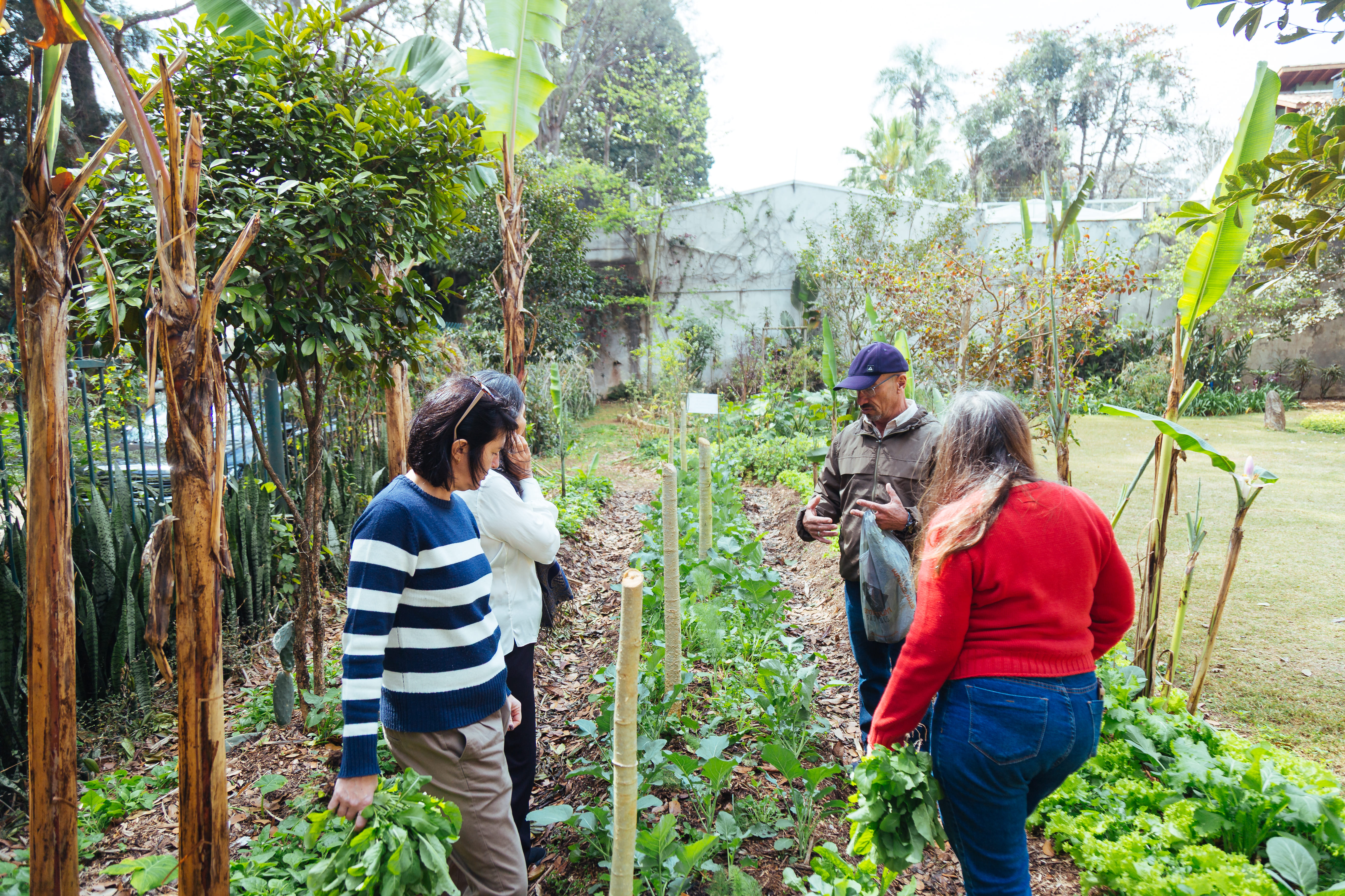 Quatro pessoas em uma horta comunitária, cercadas por árvores e canteiros verdes. Um homem com boné e jaqueta explica algo ao grupo, enquanto duas mulheres seguram maços de folhas colhidas.