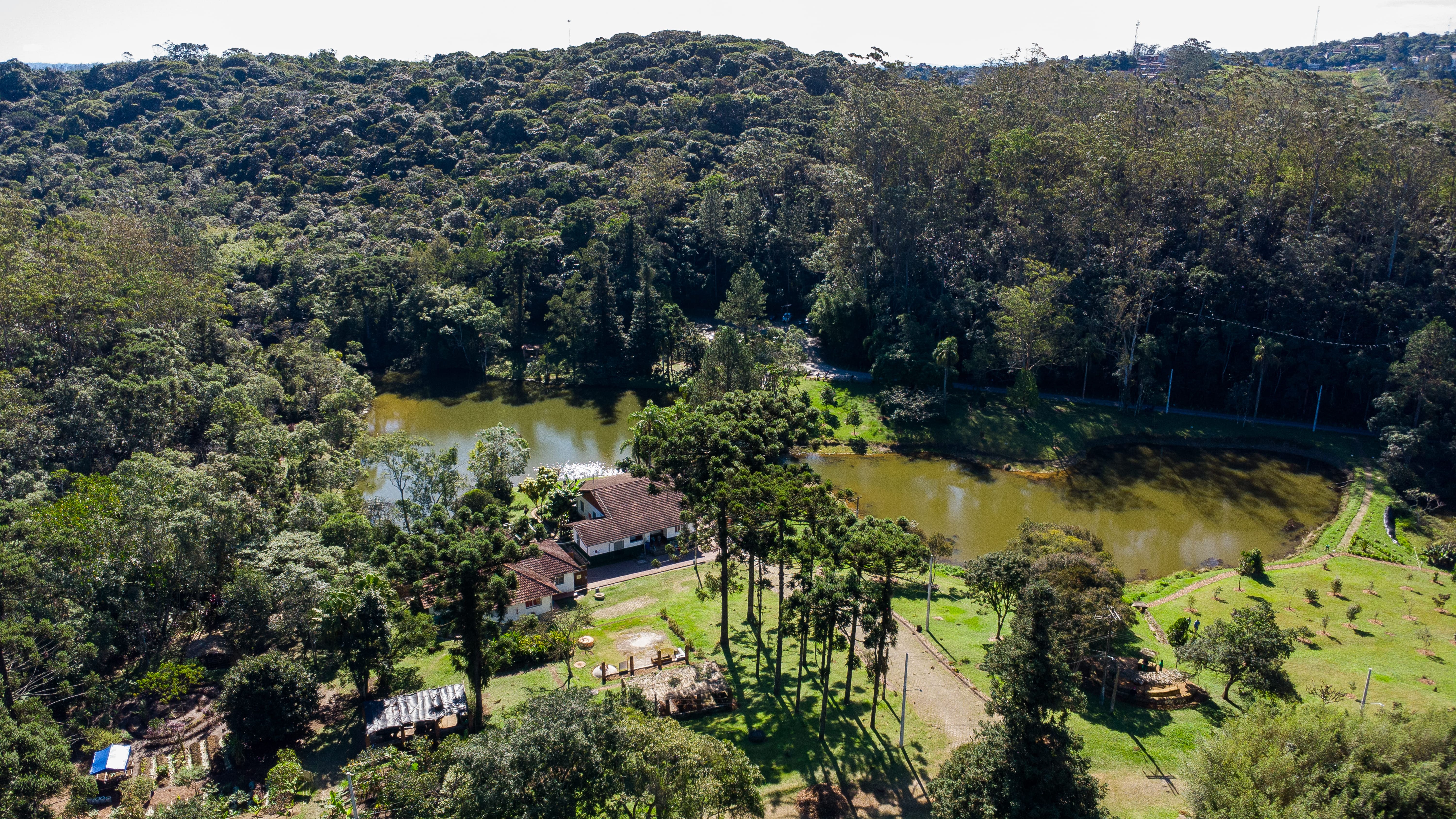 Imagem de drone mostrando uma área verde de tamanho significativa com árvores, residências e lago ao redor. 