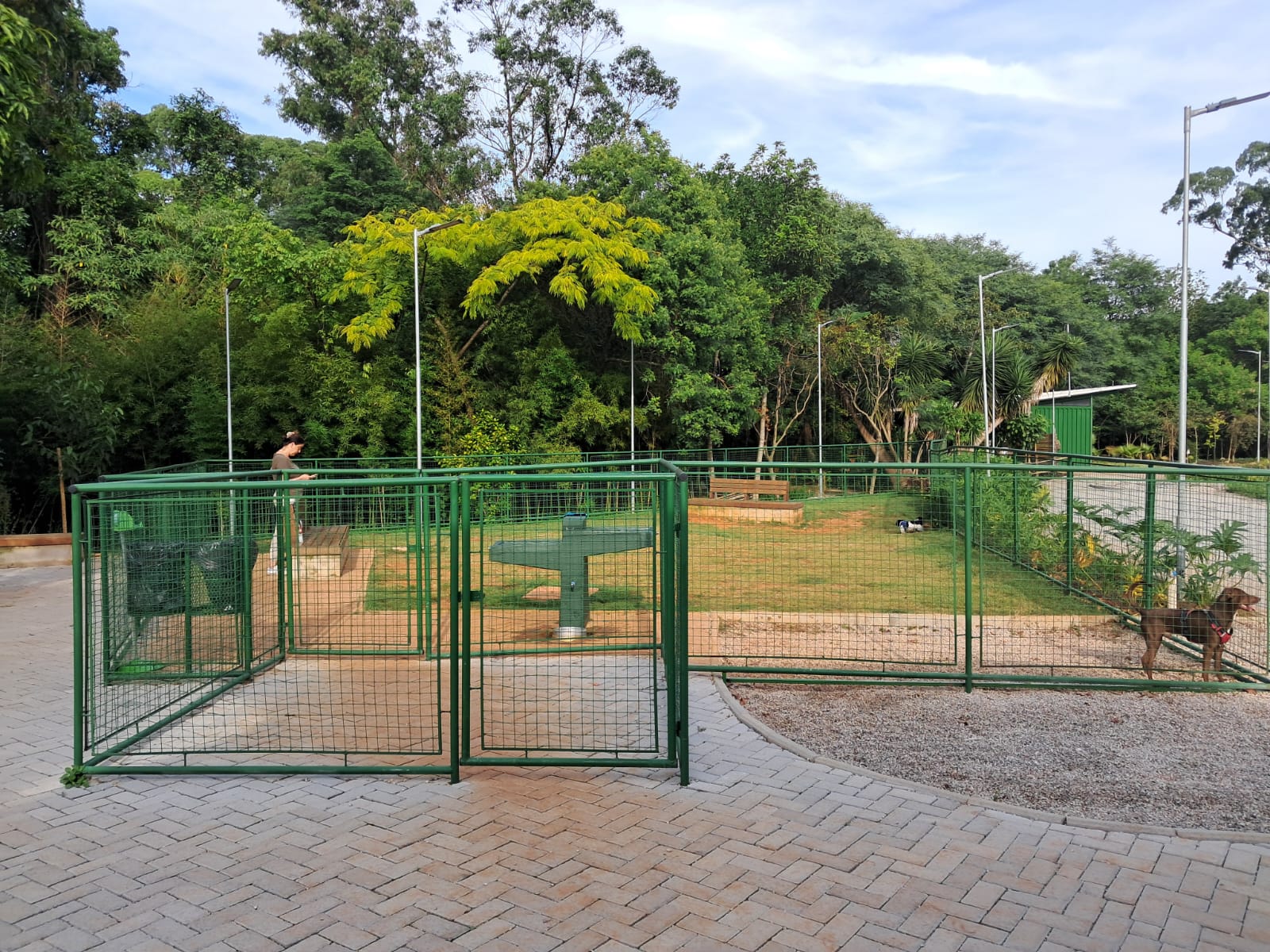 Cachorródromo, cercado de várias grades verdes, com árvores ao fundo. 