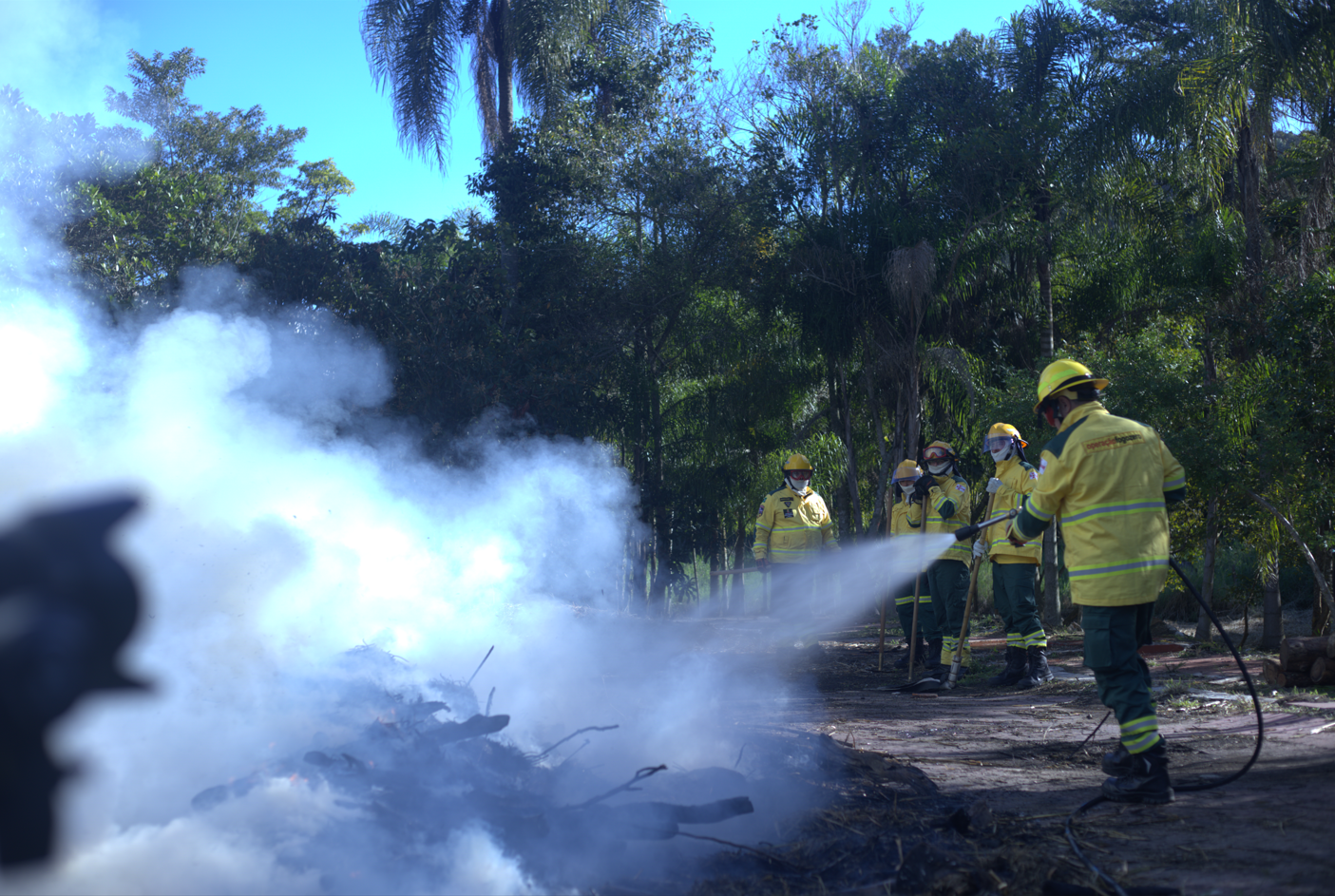 A imagem mostra uma equipe de brigadistas combatendo um incêndio florestal em meio a uma área arborizada. O destaque visual vai para a densa fumaça branca e azulada que se espalha pela cena, contrastando com o céu claro de azul intenso ao fundo. Os brigadistas usam uniformes amarelo-vivos com detalhes refletivos, o que cria um contraste marcante com o verde escuro das árvores e a terra marrom do chão. As cores reforçam a atmosfera de ação e emergência ambiental, com a fumaça esbranquiçada dominando o primeiro plano e a vegetação tropical compondo o fundo da imagem.