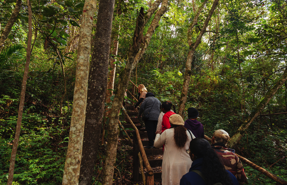 Fotografia mostra um grupo de pessoas caminhando por uma trilha em meio à mata fechada do Parque Natural Municipal Fazenda do Carmo. Os participantes seguem em fila por uma escadaria de madeira cercada por árvores altas e vegetação densa, enquanto a luz do sol atravessa as copas, iluminando partes do caminho. A cena transmite contato com a natureza e a experiência de uma caminhada ecológica em ambiente de preservação ambiental.
