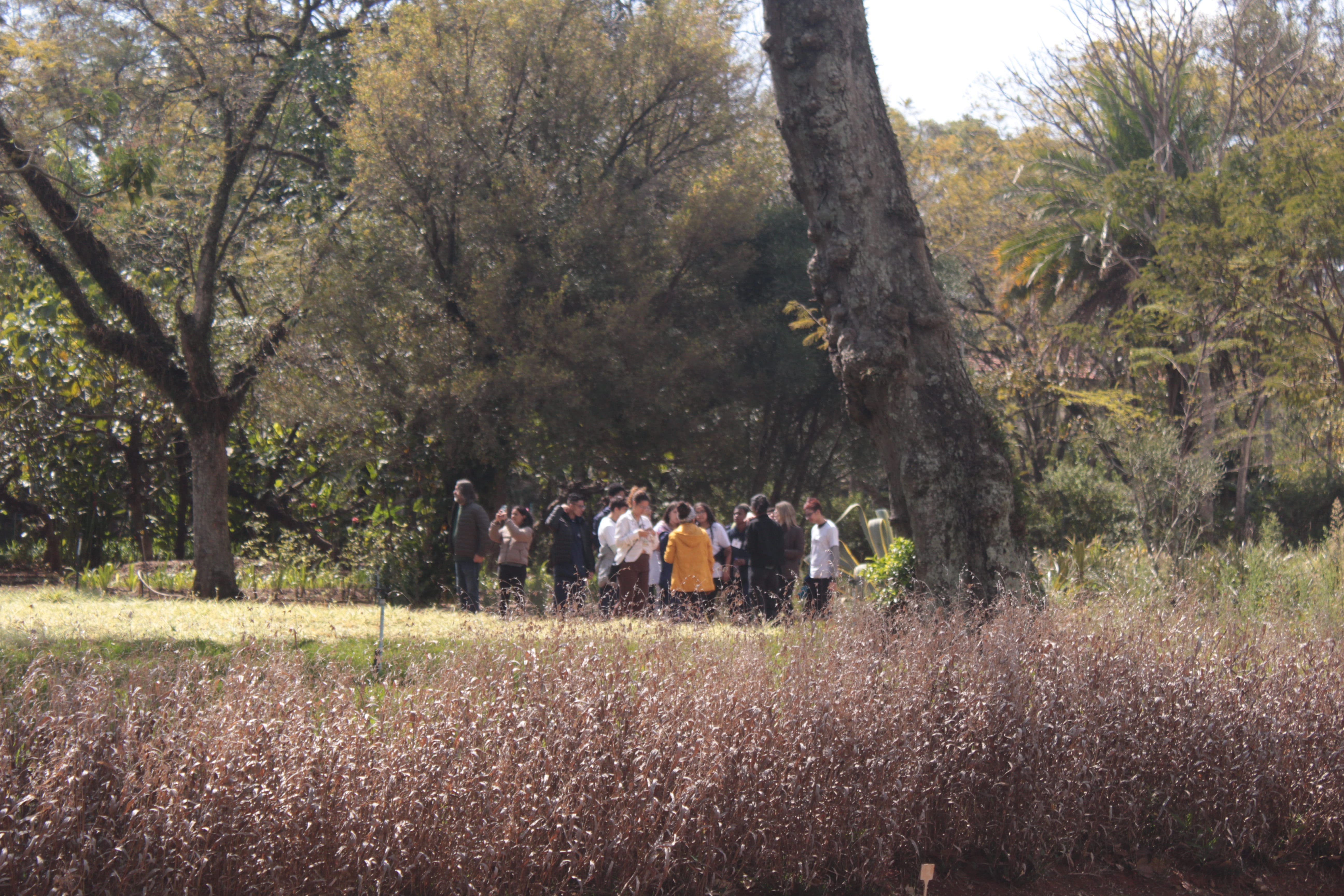 A imagem mostra um grupo de pessoas reunidas em um ambiente natural, com árvores ao fundo e vegetação seca em primeiro plano. Elas parecem participar de uma atividade ao ar livre, sob luz suave do dia. Uma pessoa veste um casaco amarelo, se destacando no centro do grupo.