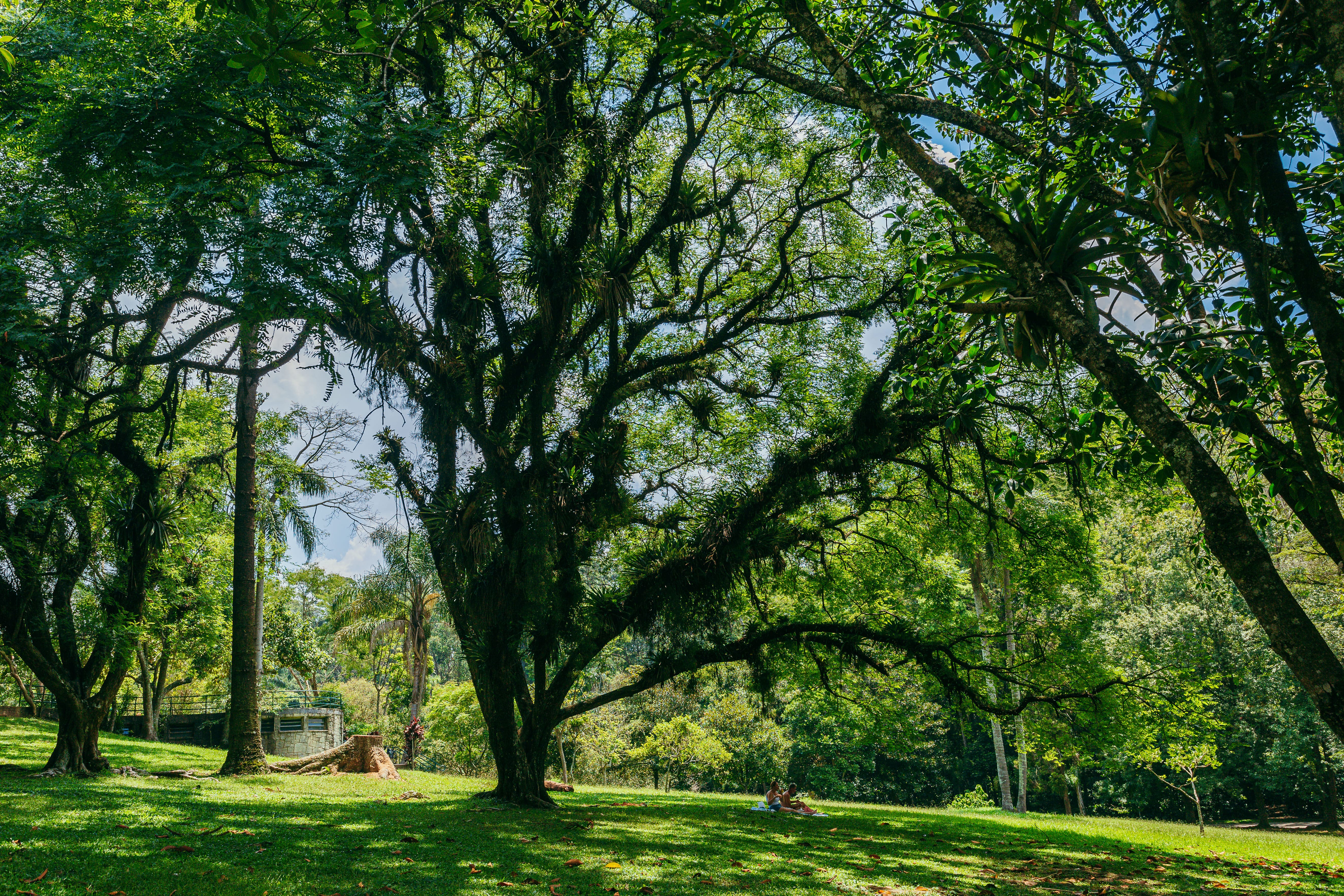 Paisagem de área verde com gramado amplo e diversas árvores de grande porte, cobertas por musgos e bromélias. A luz do sol atravessa a copa densa das árvores, criando sombras suaves no chão. Ao fundo, duas pessoas estão sentadas sobre uma canga, aproveitando o ambiente tranquilo. À esquerda, há uma construção de concreto parcialmente visível entre as árvores. A cena transmite calma e conexão com a natureza em um dia ensolarado.