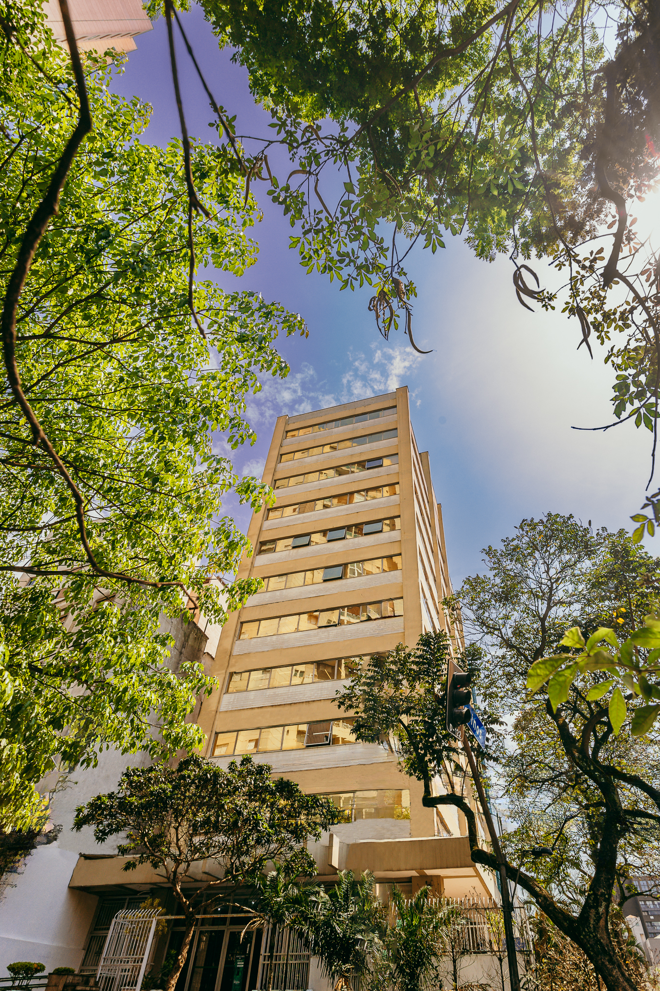 Fotografia colorida de um edifício alto, de cerca de dez andares, visto de baixo para cima. O prédio tem fachada em tons de bege claro e janelas com vidros amarelados que refletem a luz do sol. Está parcialmente cercado por árvores de folhas verdes intensas, que formam uma moldura natural em volta da imagem. O céu ao fundo é azul com algumas nuvens claras, e a luz solar entra pela lateral direita da foto, iluminando as copas das árvores.