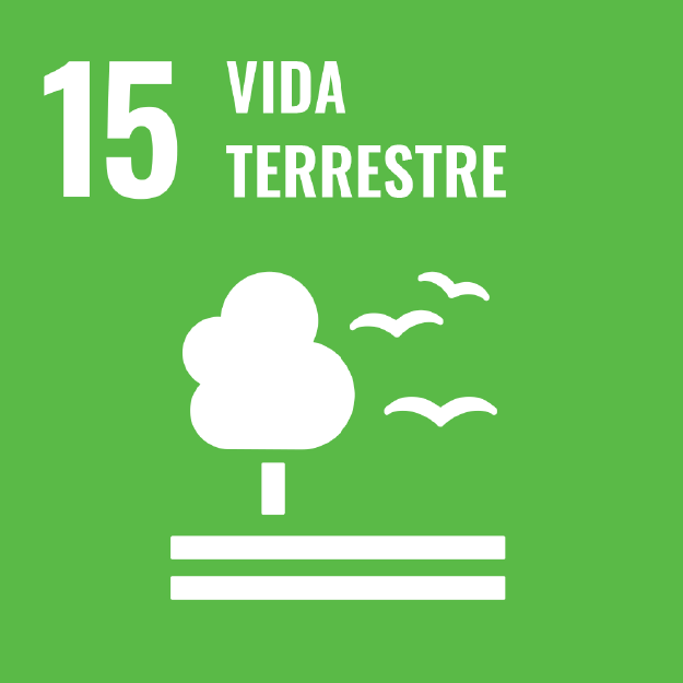 O segundo ícone é a ODS 15 "Vida Terrestre", representada por um ícone verde, com o desenho de uma árvore com duas linhas horizontais abaixo e dois pássaros voando ao lado