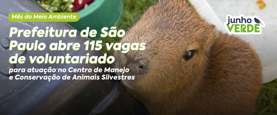 Imagem de divulgação da abertura de vagas para o programa de voluntariado do Centro de Manejo e Conservação de Animais Silvestres (CeMaCAS). Arte com fotografia de uma capivara jovem, de pelagem marrom-clara, sobre um gramado, com a cabeça apoiada na lateral de um recipiente plástico preto. Ao fundo, aparecem parcialmente um recipiente branco e um balde verde com vegetação, sugerindo um ambiente de manejo e cuidados com animais silvestres. A fotografia ocupa toda a arte e transmite a proposta de acolhimento e conservação da fauna. No canto superior direito, há a identidade visual da campanha 
