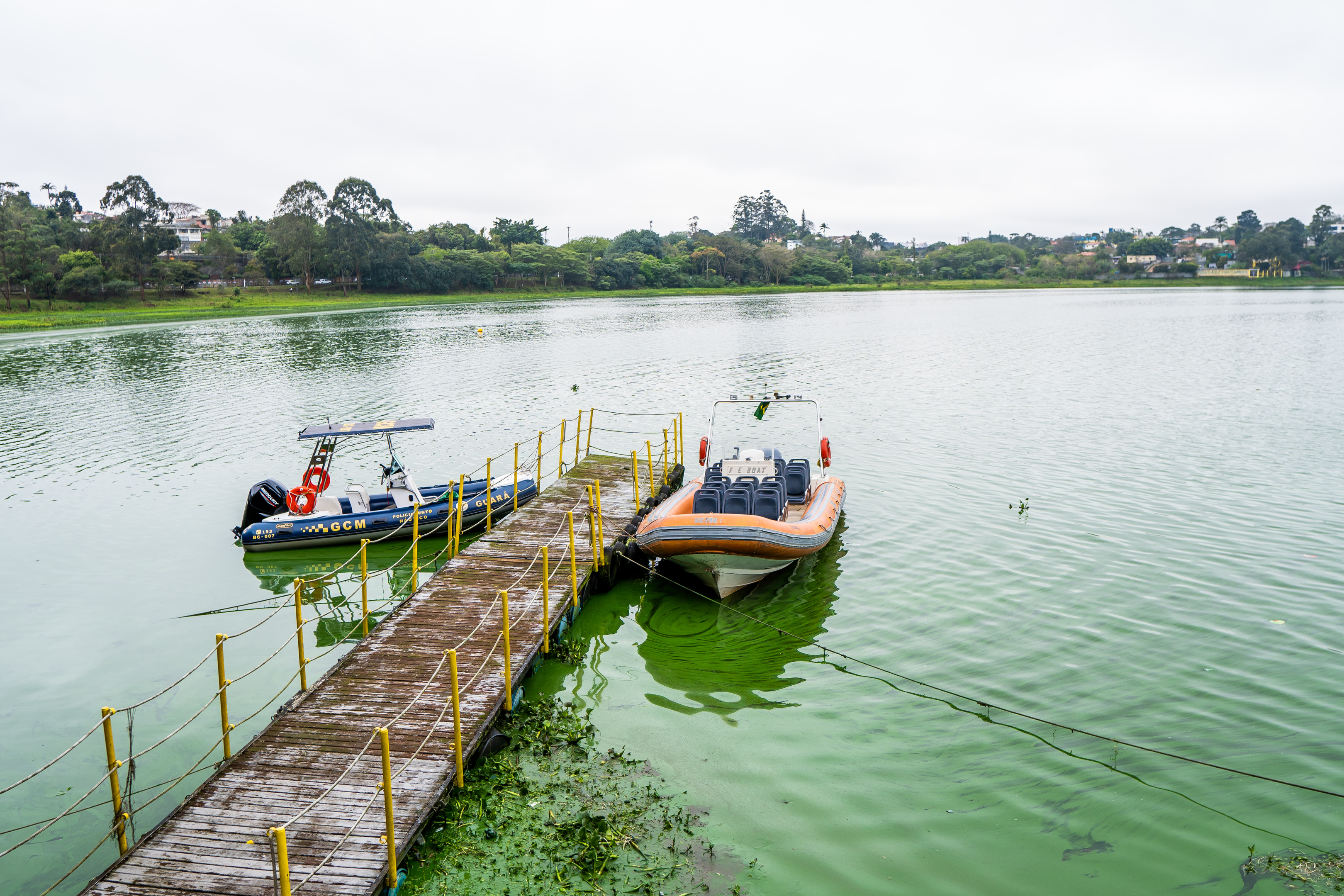 Vista da Represa Billings em um dia nublado, com duas embarcações atracadas a um píer de madeira com corrimões amarelos. Uma das lanchas, com detalhes em azul, pertence à Guarda Civil Metropolitana (GCM), e a outra, maior e laranja, possui fileiras de assentos. A água da represa apresenta coloração esverdeada, com presença de vegetação aquática na superfície. Ao fundo, é possível ver área arborizada e construções residenciais em meio às árvores.