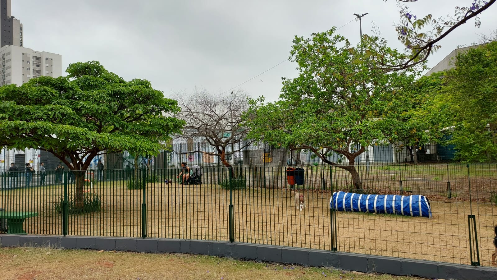Cachorródromo com cercado com gramado verde capim e árvores ao fundo. 
