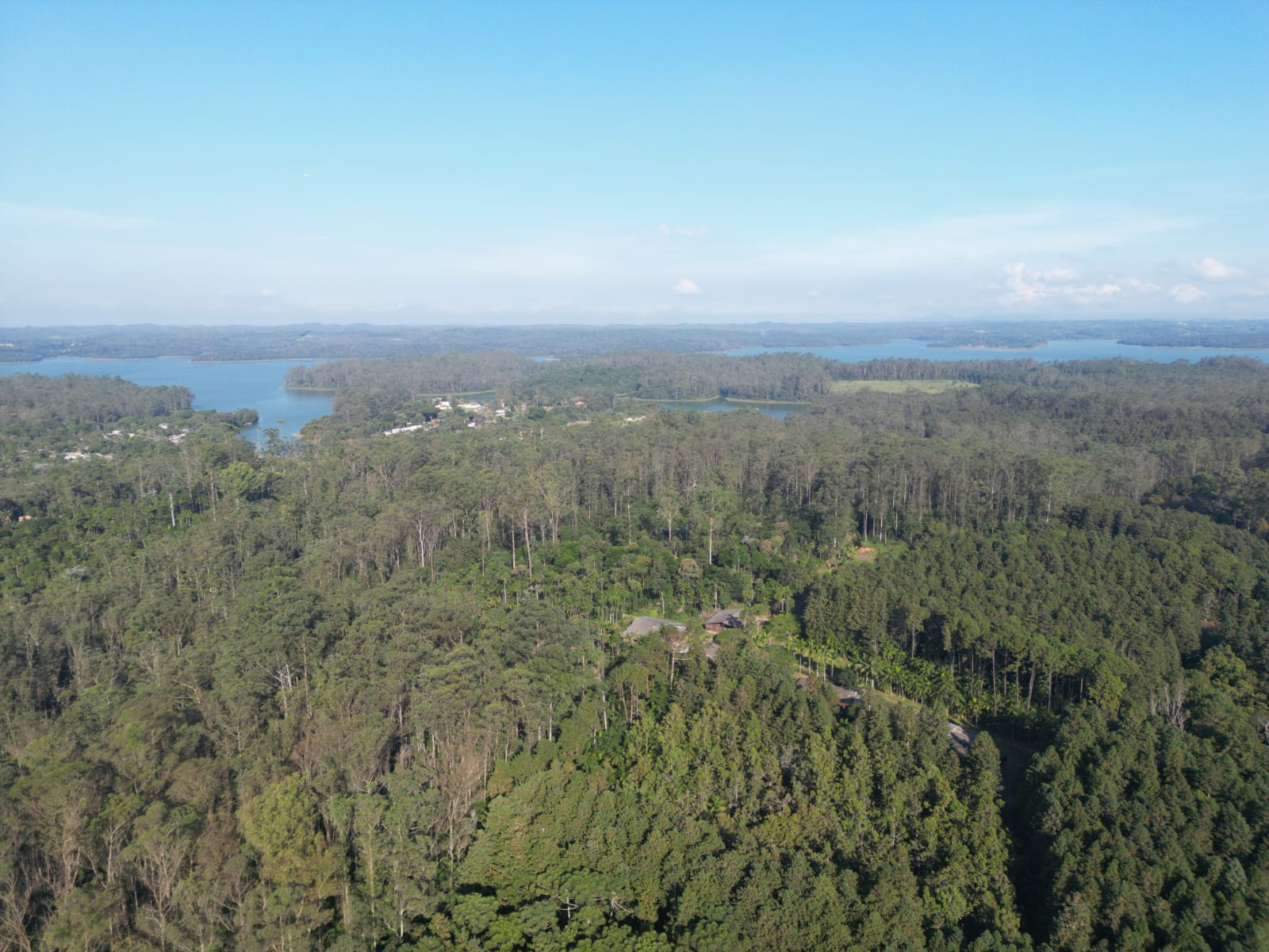 A imagem mostra uma extensa área de mata nativa e reflorestamento, com árvores densamente distribuídas, provavelmente de espécies exóticas como pinheiros. Ao fundo, observa-se um grande reservatório de água — possivelmente uma represa ou sistema de mananciais — cercado por vegetação preservada. A cena, registrada em um dia de céu limpo, revela um ambiente natural de grande importância ecológica, com poucas construções visíveis, o que sugere uma região de proteção ambiental ou de ocupação controlada, localizada em área periférica ou de borda da cidade.