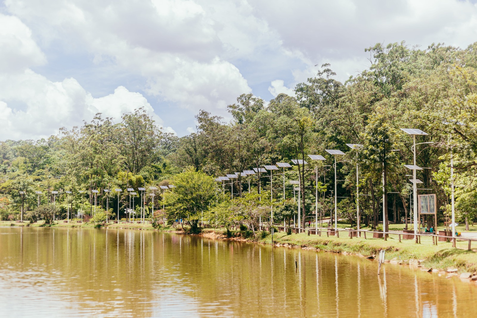 À beira de um grande lago de água calma, há uma fileira extensa de postes com painéis solares no topo, alinhados ao longo de um caminho arborizado. O parque é cercado por muitas árvores altas e densas, formando um cenário verde vibrante. O céu está parcialmente nublado, com nuvens brancas e volumosas. A margem do lago é gramada, com algumas pessoas sentadas ao fundo, aproveitando o ambiente tranquilo.