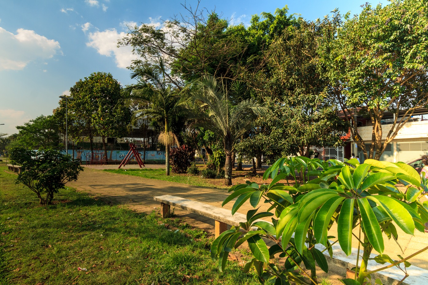 Parque urbano com caminho de terra, cercado por árvores e plantas variadas. Em primeiro plano, há um banco de concreto e uma planta de folhas grandes e verdes. Ao fundo, aparecem um playground com brinquedos vermelhos e algumas construções. O céu está azul, com poucas nuvens, e a luz do sol ilumina o local.