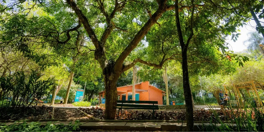 Imagem de divulgação de um parque urbano. Fotografia de uma área arborizada, com uma grande árvore de tronco largo e copa extensa ocupando o centro da imagem. A vegetação é densa e formada por árvores, arbustos e plantas de diferentes tamanhos. Ao fundo, há uma construção térrea de paredes em tom terracota, parcialmente escondida pela vegetação, além de placas de sinalização e estruturas de madeira. Em primeiro plano, um caminho de pedras atravessa a área verde, acompanhado por bancos. Duas pessoas aparecem ao fundo, próximas a uma estrutura de madeira. A imagem destaca a integração entre as áreas construídas e a natureza do parque.