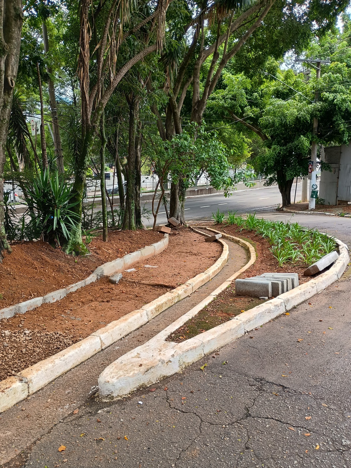 Foto em plano geral de um canteiro central em reforma numa rua arborizada. No primeiro plano, há uma estrutura de meio-fio de concreto branco que forma curvas suaves no solo de terra marrom recém-revolvida. Dentro de uma curva, há pequenas mudas verdes plantadas. Blocos de concreto cinza estão empilhados na ponta direita. Atrás, o canteiro continua com mais terra e grandes árvores e plantas tropicais. Ao fundo, uma rua asfaltada com um carro cinza passando e uma calçada com muro e poste. O dia está ensolarado.
