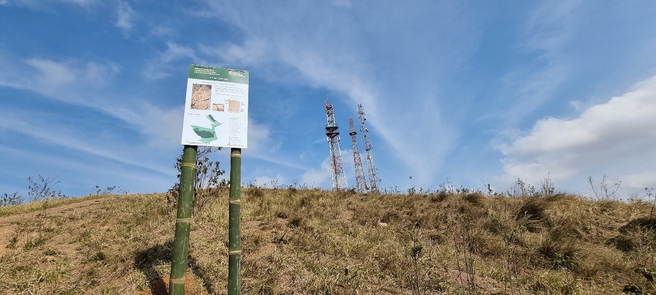 Pico do Votussununga – Morro do Cruzeiro. Área verde, di iluminado, placa indicando o local