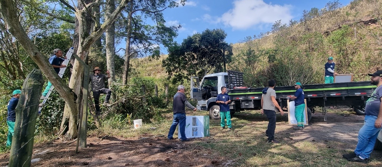 Homens trabalhando em poda de árvores. Uma caminhonete ao fundo para recolhimento do material retirado