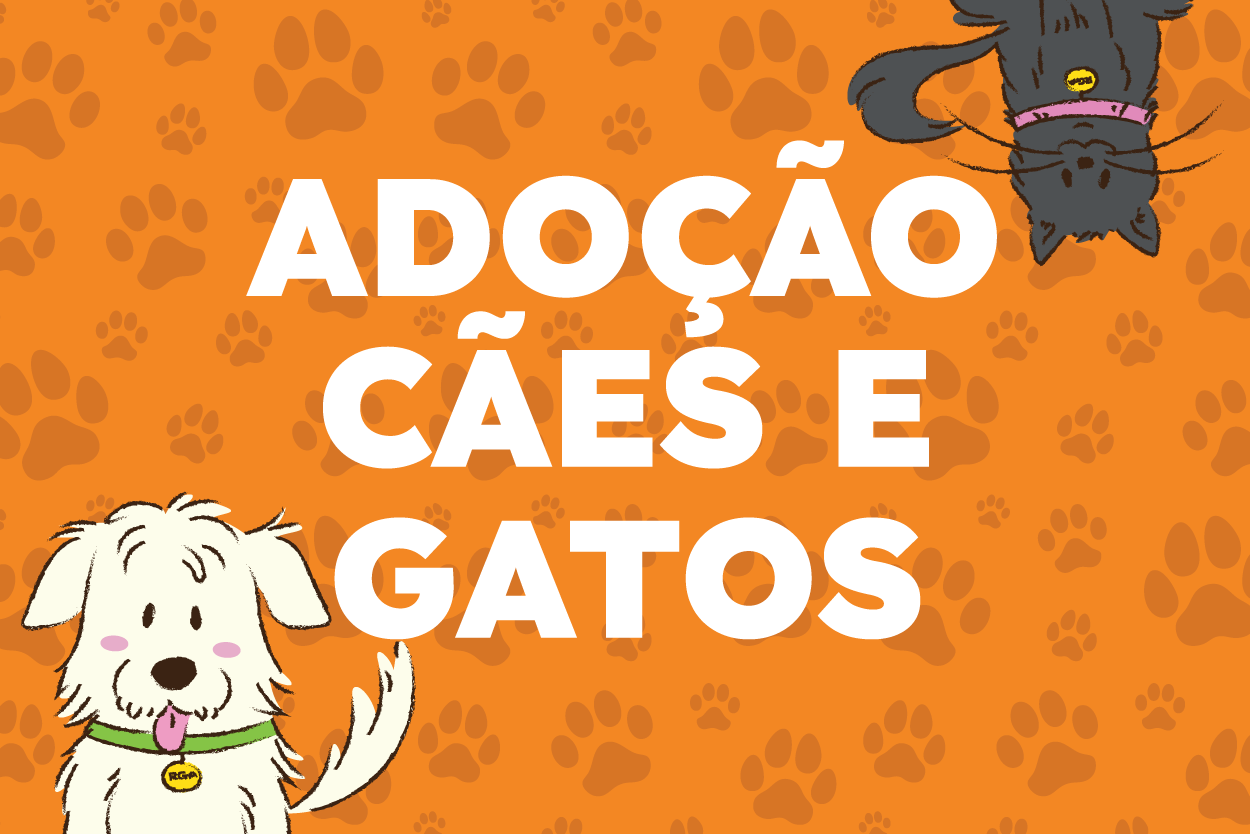Pra Todos Verem: Banner com fundo laranja e estampas de pegadas de patas. No centro, o texto “ADOÇÃO CÃES E GATOS” em letras brancas e grandes. No canto inferior esquerdo, aparece parcialmente um cão ilustrado de cor branca com coleira verde. No canto superior direito, aparece parcialmente um gato ilustrado de cor preta com coleira roxa. A arte divulga a adoção de cães e gatos.