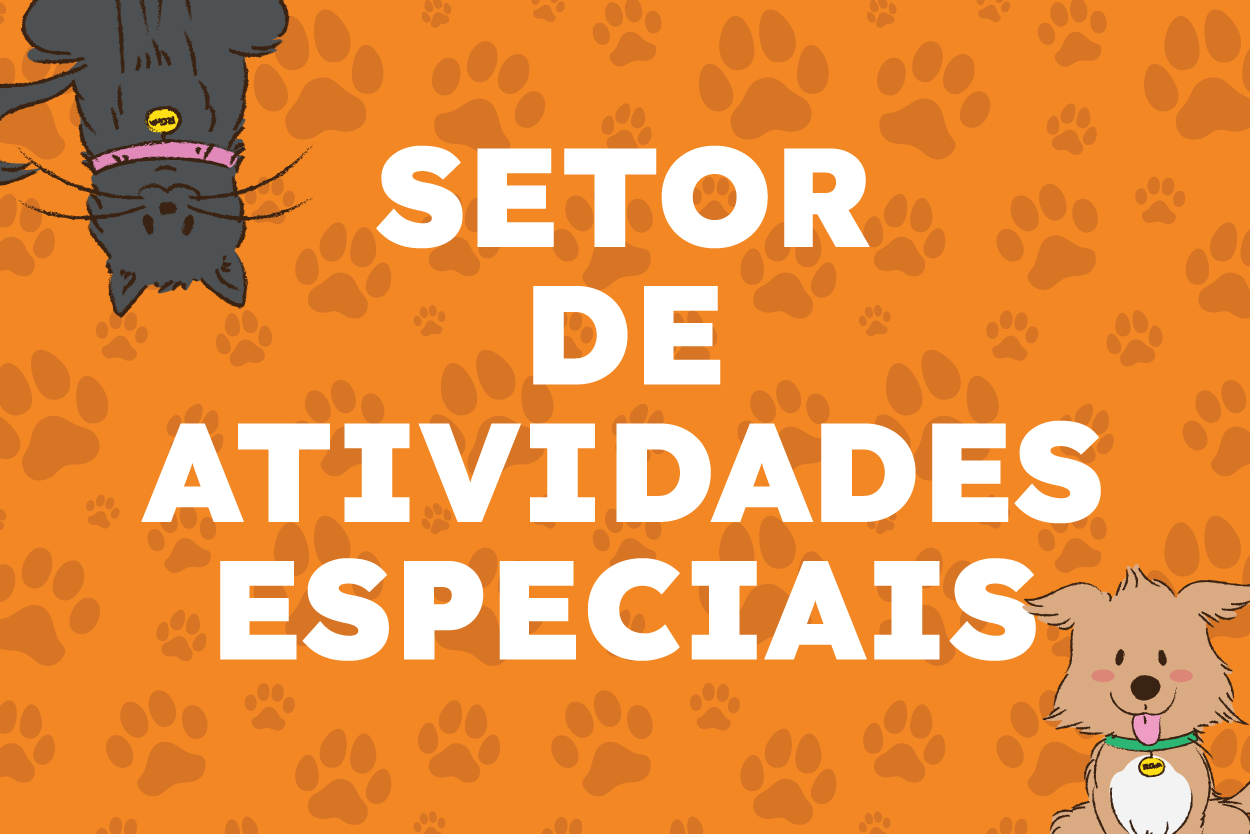 Pra Todos Verem: Banner com fundo laranja e estampas de pegadas de patas. No centro, o texto “SETOR DE ATIVIDADES ESPECIAIS” em letras brancas e grandes. No canto superior esquerdo, aparece parcialmente um gato ilustrado de cor preta com coleira roxa. No canto inferior direito, aparece parcialmente um cão ilustrado de cor marrom-clara com coleira verde. A arte identifica o Setor de Atividades Especiais relacionado à causa animal.