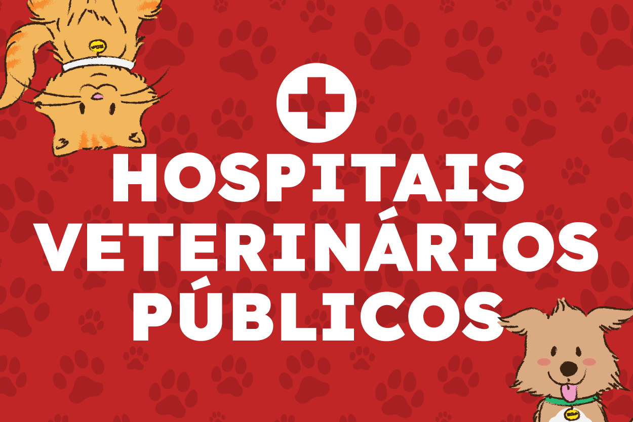Pra Todos Verem: Banner com fundo vermelho e estampas de pegadas de patas. No centro, o texto “HOSPITAIS VETERINÁRIOS PÚBLICOS” em letras brancas. Acima do texto, há um símbolo de cruz vermelha dentro de um círculo branco. No canto superior esquerdo, aparece parcialmente um gato ilustrado na cor laranja. No canto inferior direito, aparece parcialmente um cão ilustrado de cor marrom-clara com coleira verde. A arte divulga os hospitais veterinários públicos para atendimento de animais.