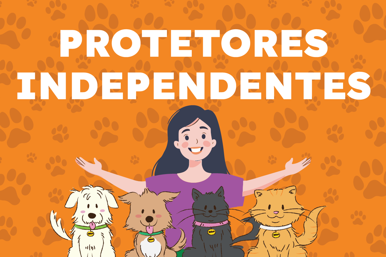 Pra Todos Verem: Banner com fundo laranja e estampas de pegadas de patas. No centro, o texto “PROTETORES INDEPENDENTES” em letras brancas e grandes. Na parte inferior, aparece a ilustração de uma pessoa com os braços abertos ao lado de dois cães e dois gatos, todos usando coleiras com medalhas de identificação. A arte representa a atuação de protetores independentes no cuidado e na proteção dos animais.