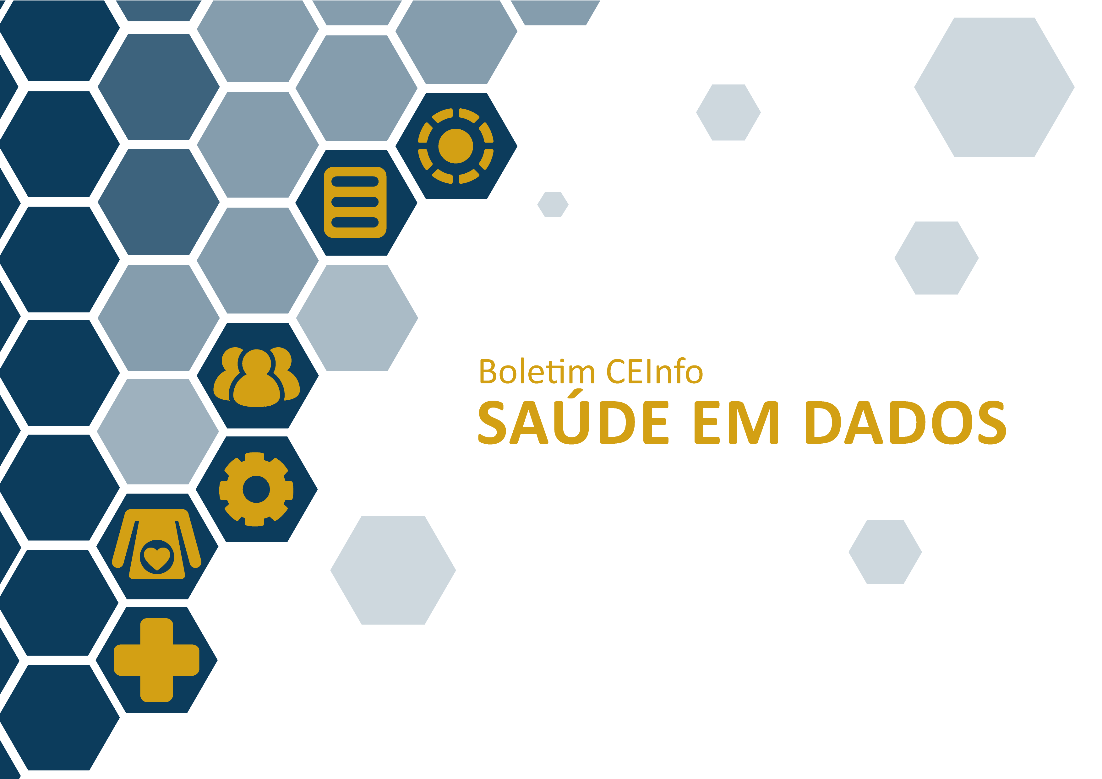 Capa Boletim CEInfo Saúde em Dados 2024