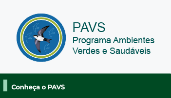 A imagem possui um fundo branco, com o logo do PAVS. Abaixo, uma faixa com o texto 