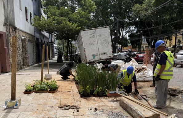 A imagem mostra uma calçada sendo revitalizada por uma equipe de trabalhadores. Três homens usam capacetes e coletes refletivos enquanto realizam o plantio de mudas em um canteiro recém-preparado no passeio público. Várias plantas verdes estão organizadas em pequenos vasos sobre o chão, ao lado de ferramentas e sacos de terra. Um caminhão branco está estacionado na rua ao lado da calçada, e há árvores e carros ao fundo, em uma via urbana arborizada.