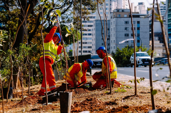 Três trabalhadores estão em uma área de terra batida, plantando mudas de árvores. Eles usam uniformes de segurança laranja, coletes de alta visibilidade amarelos e capacetes de proteção azuis. Ao fundo, uma avenida com carros e prédios de uma cidade grande. A foto é tirada durante o dia e o sol ilumina a cena.