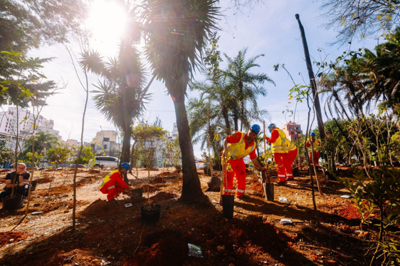 Cinco trabalhadores com uniformes laranjas, coletes amarelos e capacetes azuis estão em uma área de terra avermelhada, plantando mudas de árvores. Eles se inclinam em diferentes posições para enterrar as mudas e as embalagens plásticas estão espalhadas no chão ao redor. Há palmeiras altas ao lado, e o sol brilha no alto da imagem, iluminando a cena. Ao fundo, um carro e prédios da cidade podem ser vistos.