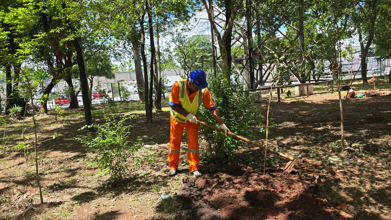 A foto mostra um trabalhador de manutenção em uma área externa arborizada, durante o dia. Ele está no centro da imagem, levemente inclinado para a direita, manuseando uma enxada para trabalhar a terra ao redor de uma muda de árvore recém-plantada. O homem veste um uniforme de trabalho laranja vibrante com faixas refletivas, um colete amarelo de alta visibilidade, luvas brancas e um capacete de segurança azul. O solo ao redor da muda é de terra escura e remexida, contrastando com o restante do terreno coberto por folhas secas e grama rala. Ao fundo, há diversas árvores de médio e grande porte que projetam sombras pelo chão, além de uma grade de metal e uma estrutura metálica alta ao longe. A luz solar é intensa, criando áreas de luz e sombra bem definidas em toda a cena.