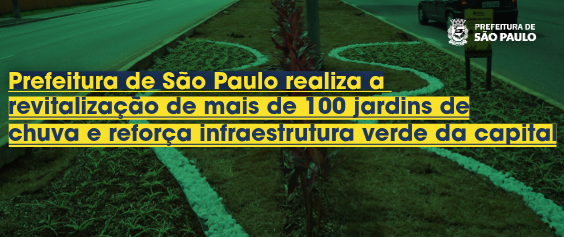 Fotografia de um jardim de chuva em um canteiro urbano, com vegetação rasteira verde e plantas de folhas avermelhadas dispostas em linha ao centro. O solo é decorado com pedras brancas que formam desenhos sinuosos ao redor das plantas. Ao fundo, vê-se o asfalto de uma avenida e a parte traseira de um carro escuro. Sobreposta à imagem, há uma frase em letras amarelas e negrito que diz: 
